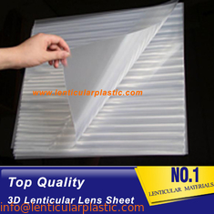 PET 3D Lenticular Plastic Sheets 100 LPI Lenticular printed Sheet Lenses 0.58mm Thickness for Decoretive Pictures